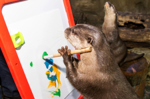 Penguin Encounter/King Crock Encounter/Otter Encounter/Ray Encounter