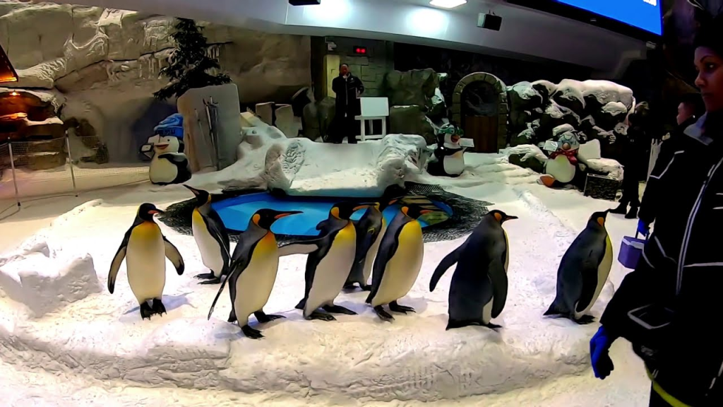 Penguin Cove