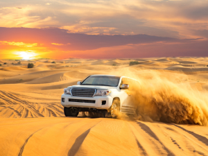 best desert safari abu dhabi