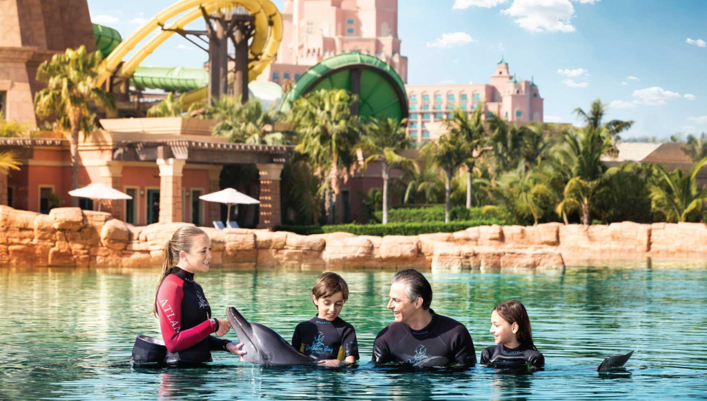 dolphin-encounterdolphin-dip-play-peak-period-1-jan-7-jan-10-feb-25-feb-23-mar-14-apr21-dec-31-dec