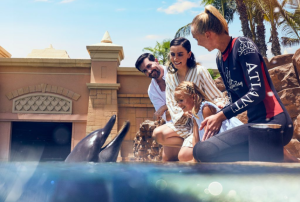 DOLPHIN AND SEAL SHOW VIP