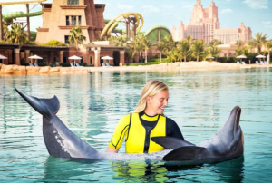 DOLPHIN SHALLOW WATER-KNEE DEEP-20MINUTES