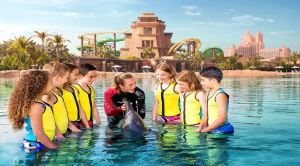 Dolphin-encounterdolphin-dip-play-peak-period-19-oct-3-nov