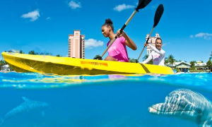dolphin-kayak-high-period-08-jan-09-feb26-feb-22-mar15-apr-05-may25-may-02-jun01-oct-18-oct04-nov-20-dec