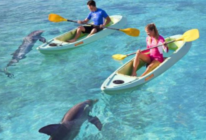 dolphin-kayak-high-period-08-jan-09-feb26-feb-22-mar15-apr-05-may25-may-02-jun01-oct-18-oct04-nov-20-dec