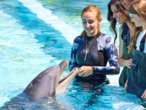 DOLPHIN MEET-GREET-PEAK PERIOD-1-jan-7-jan-10-feb-25-feb-23-mar-14-apr19-oct-3-nov21-dec-31-dec