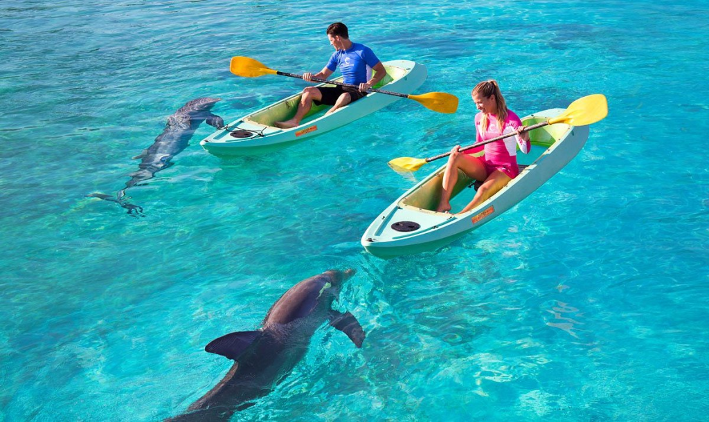 dolphin-kayak-peak-period-1-jan-7-jan-10-feb-25-feb-23-mar-14-apr19-oct-3-nov21-dec-31-dec