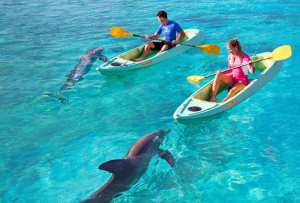 dolphin-kayak-peak-period-1-jan-7-jan-10-feb-25-feb-23-mar-14-apr19-oct-3-nov21-dec-31-dec