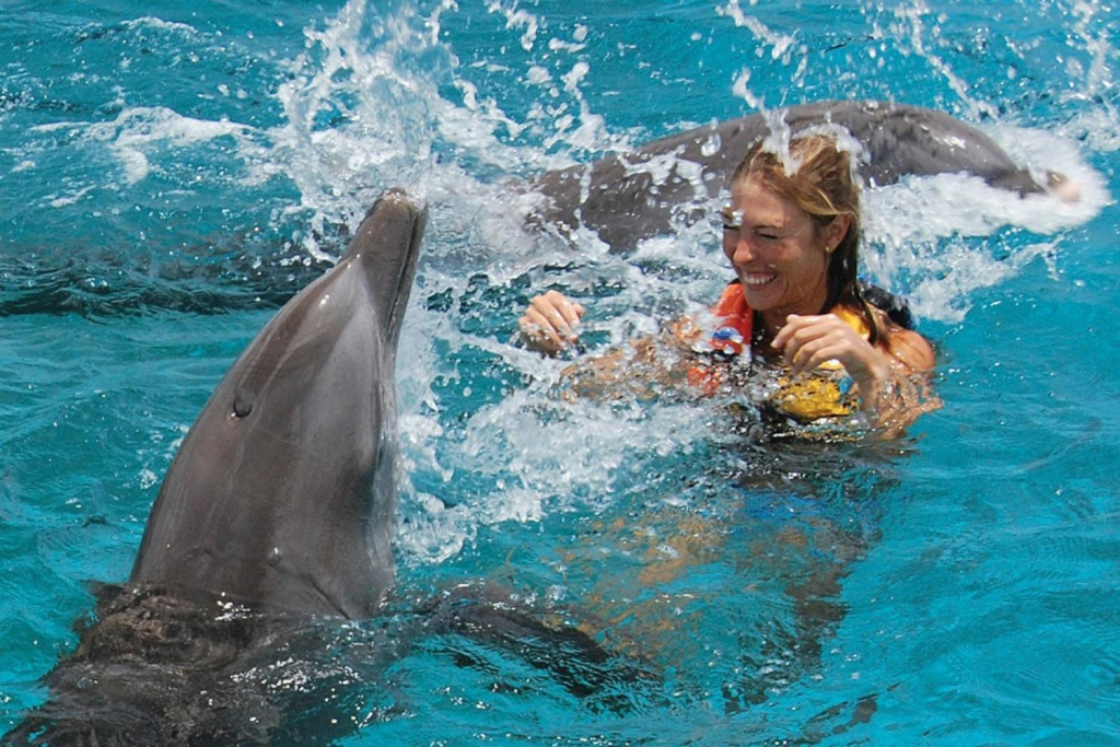 dolphin-encounter-high-period-8jan-9feb-26feb-22mar-15apr-5may-25may-2jun