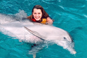 dolphin-meet-greet-shoulder-period-06-may-24-may-03-jun-30-sep