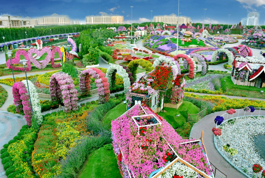 DUBAI BUTTERFLY GARDEN