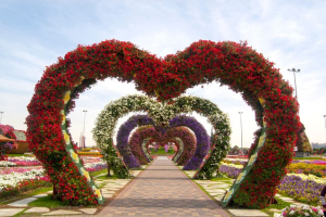 Dubai Miracle Garden Entrance Ticket