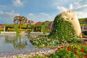 Dubai Miracle Garden Entrance Ticket