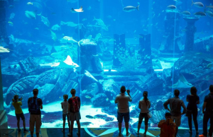Lost Chambers Aquarium-Dubai