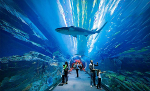 Lost Chambers Aquarium-Dubai