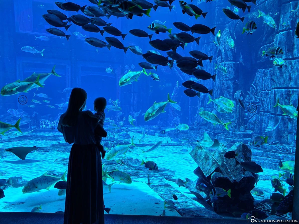 DUBAI AQUARIUM-UNDER WATER ZOO