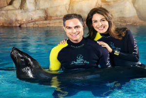 Sea Lion Encounter-High Period