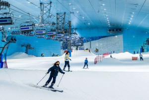 Ski Slope-Full Day Pass Experienced skiers only