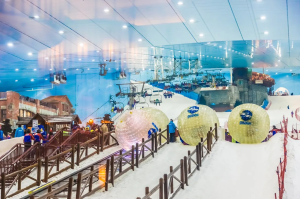 Ski Dubai-Snow Plus