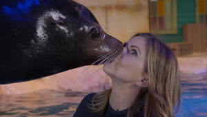 Sea Lion Meet and Greet-Peak Period 