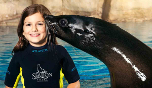 Sea Lion Encounter-Peak Period