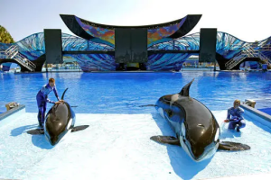 Sea World Abu Dhabi