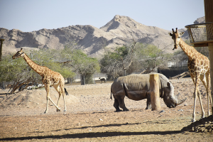 Al Ain Zoo-Abu Dhabi